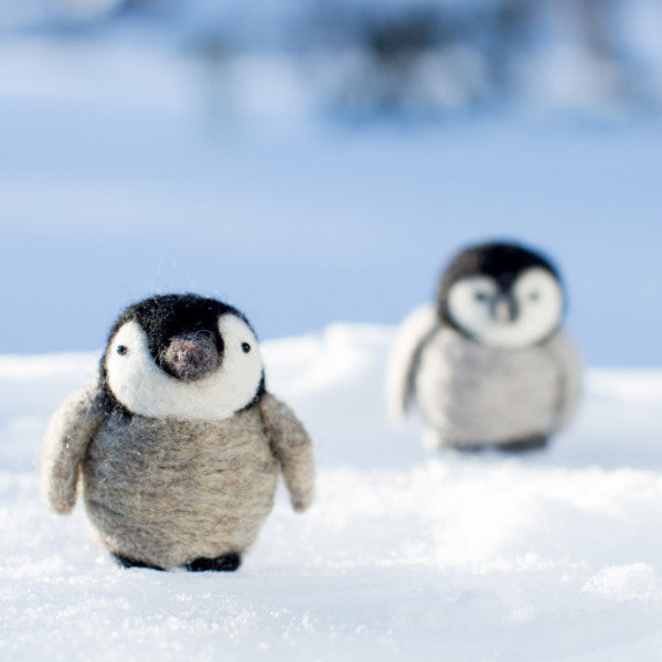 cute baby penguins