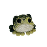 Frog PDF (instructions only)